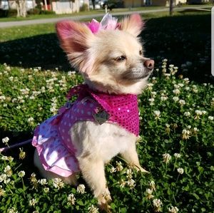 Meet your Posher, Crystal